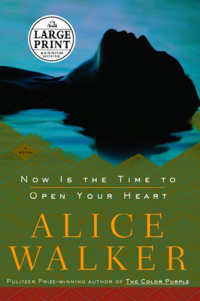 Now is the time to open your heart : a novel / Alice Walker.