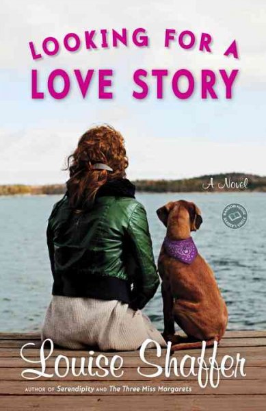 Looking for a love story : a novel / Louise Shaffer.