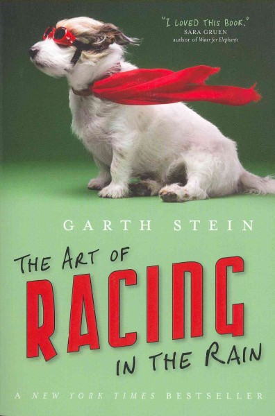The art of racing in the rain : a novel / Garth Stein.