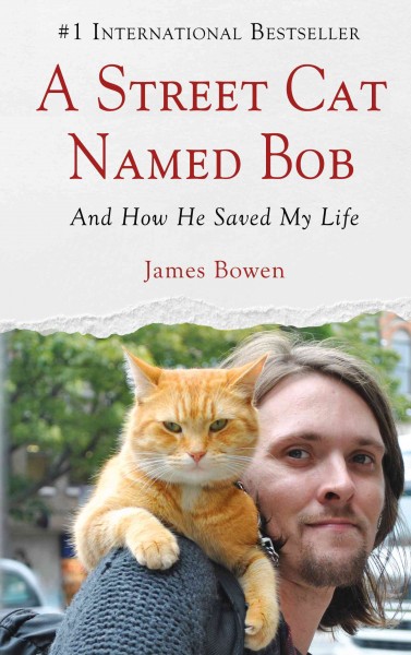 A street cat named Bob : and how he saved my life / by James Bowen.