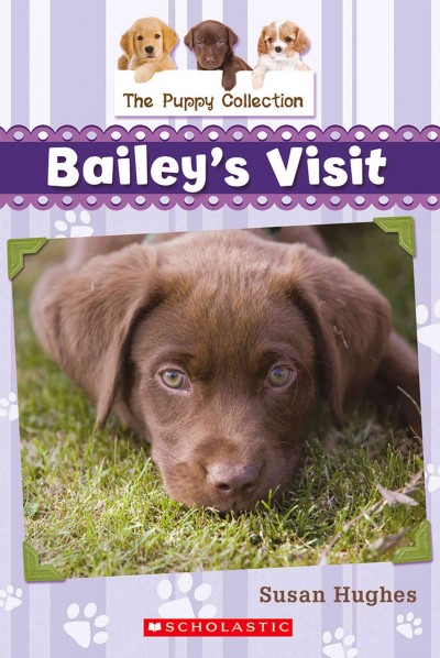 Bailey's visit / by Susan Hughes ; illustrated by Leanne Franson.