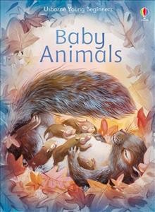 Baby animals / written by Emily Bone ; illustrated by Lucye Rioland.