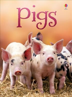 Pigs / James MacLaine ; illustrated by Jeremy Norton ; additional illustrations by Roger Simó ; designed by Sam Whibley and Amy Manning.
