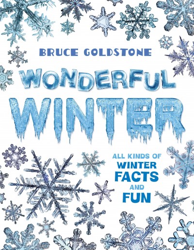 Wonderful winter / Bruce Goldstone.