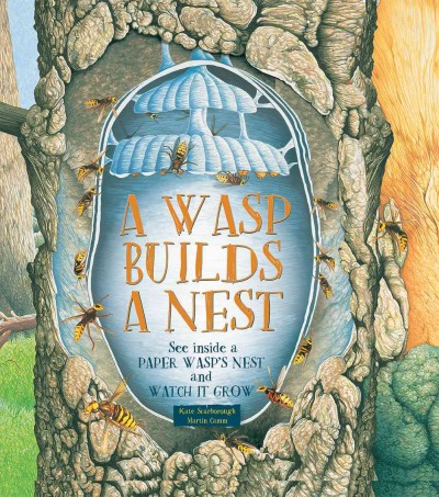 A wasp builds a nest / Kate Scarborough ; Martin Camm, illustrator.