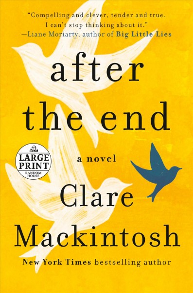 After the end / Clare Mackintosh.