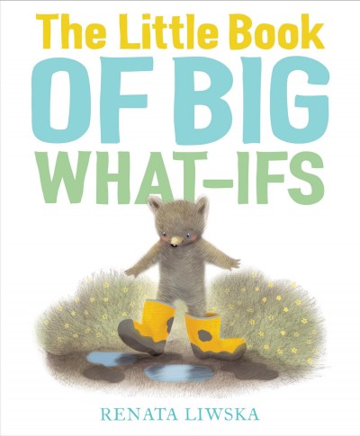 The little book of big what-ifs / Renata Liwska.