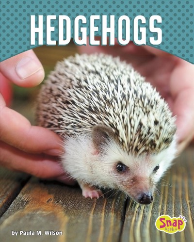 Hedgehogs / by Paul Wilson.