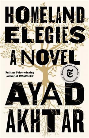 Homeland elegies : a novel / Ayad Akhtar