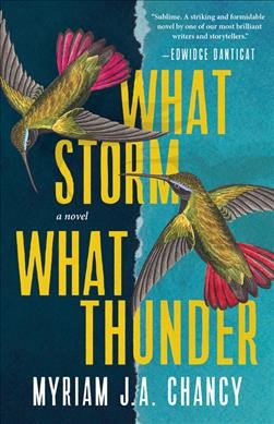 What storm, what thunder : a novel / Myriam J. A. Chancy.