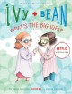Ivy + Bean what's the big idea?  Cover Image
