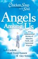 Go to record Chicken soup for the soul, angels among us : 101 inspirati...