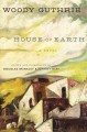 Go to record House of earth : a novel