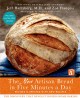 Go to record The new artisan bread in five minutes a day : the discover...