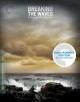 Breaking the waves Cover Image