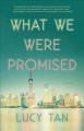 What we were promised  Cover Image