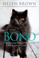 Bono : the amazing story of a rescue cat who inspired a community  Cover Image