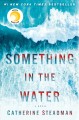Something in the water : a novel  Cover Image