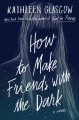 How to make friends with the dark : a novel  Cover Image
