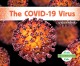Go to record The COVID-19 virus