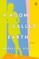 Go to record A room called earth : a novel