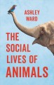Go to record The social lives of animals