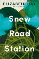 Snow Road Station : a novel  Cover Image